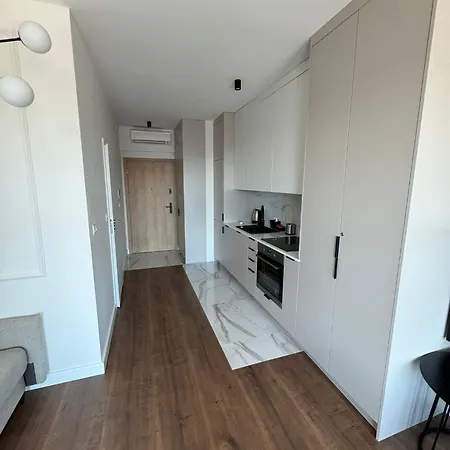 Polonia Art Apartments In The City Center Katovice Exteriér fotografie